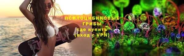 хмурый Богородск