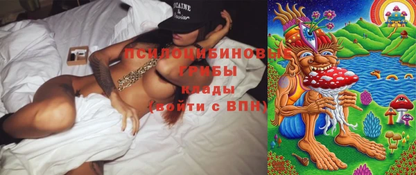 jwh Богородицк
