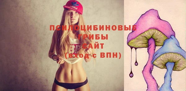jwh Богородицк