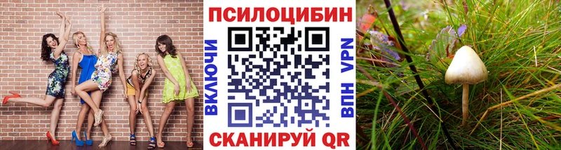 Псилоцибиновые грибы мицелий  Саранск 